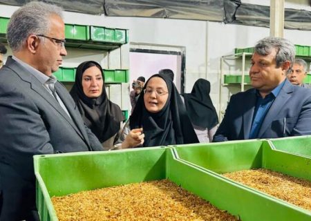 پرورش میل‌ورم ظرفیت مناسب اشغالزایی روستایی