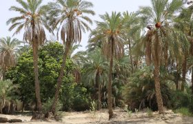 فیروزآباد؛ قصیده‌ای ناب از طبیعت خداوند