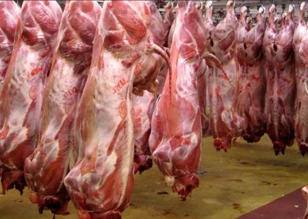 کشتارگاه صنعتی راسک با ظرفیت ۴۰۰ رأس دام افتتاح شد