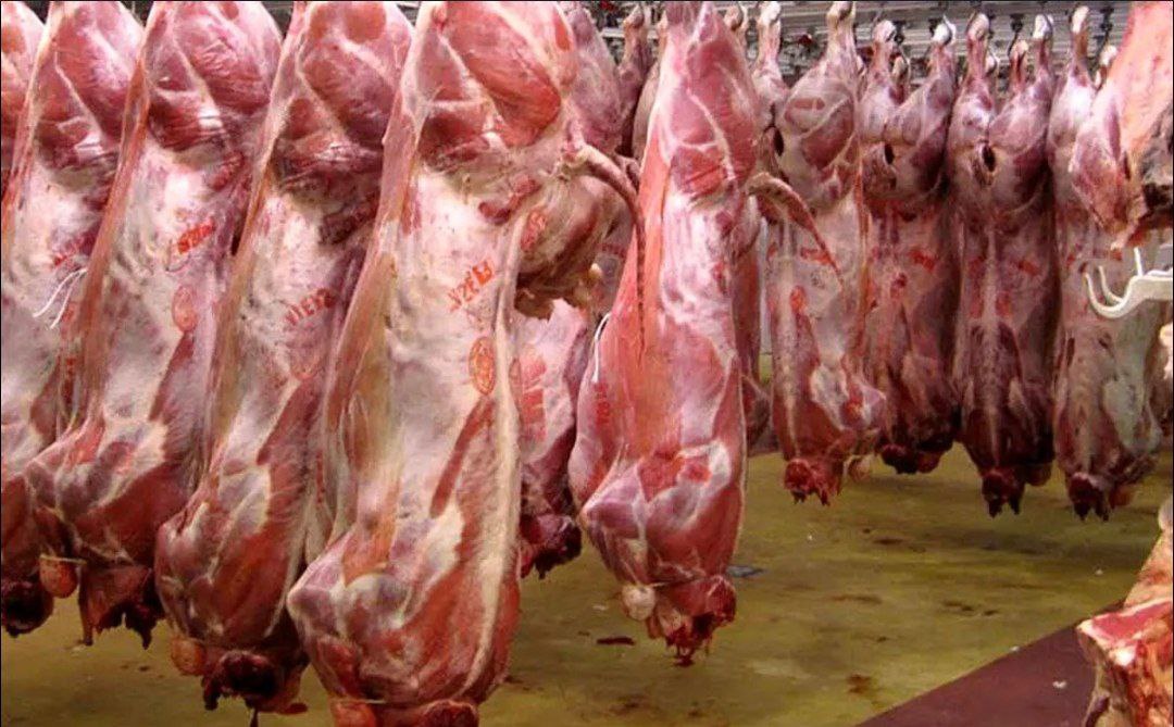 کشتارگاه صنعتی راسک با ظرفیت ۴۰۰ رأس دام افتتاح شد