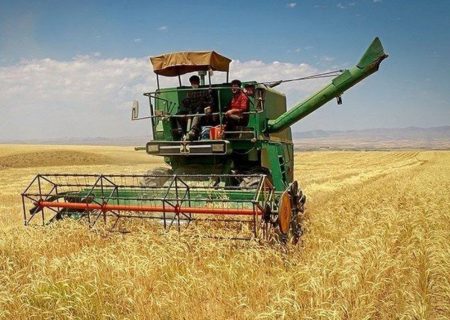 راسک نخستین نقطه کشور در برداشت گندم