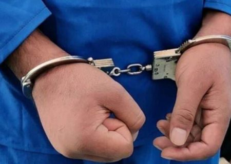 سارق حرفه‌ای در دام پلیس هیرمند