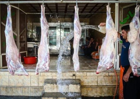 برخورد با کشتار غیرمجاز دام در شهرستان زابل