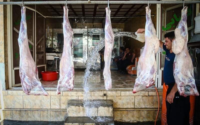 برخورد با کشتار غیرمجاز دام در شهرستان زابل