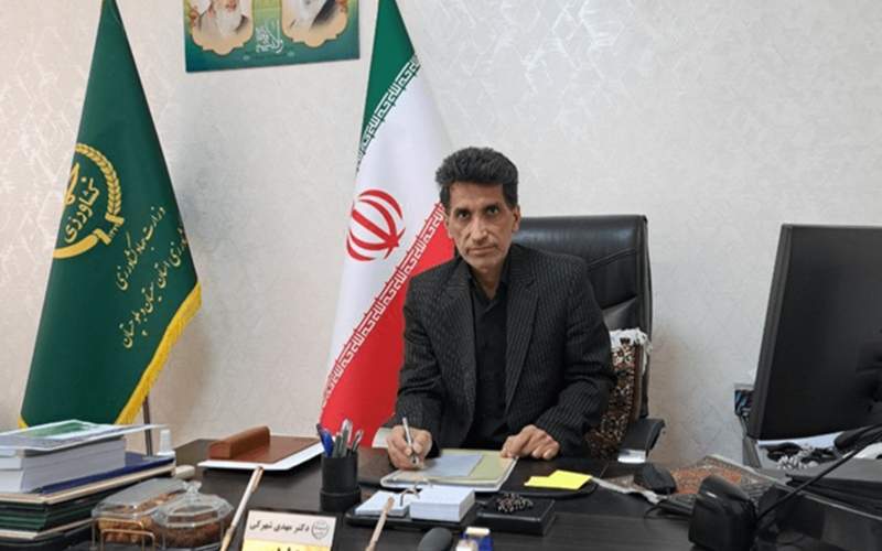 جوجه‌ریزی یک میلیون قطعه‌ای در شهرستان زاهدان