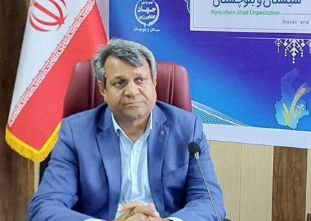 برداشت ۲ میلیون تن محصول پاییزه در سیستان‌وبلوچستان