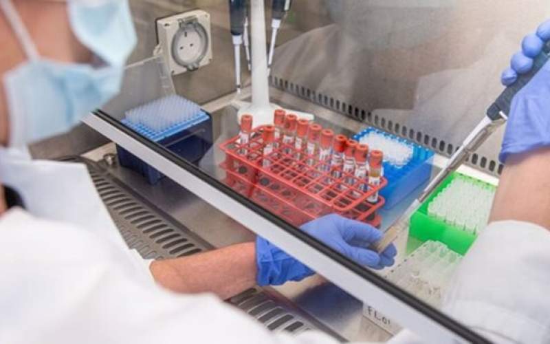 تکمیل چرخه تشخیصی و درمانی سرطان