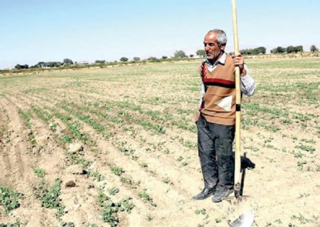 کمبود آب به معنای توقف کشاورزی نیست