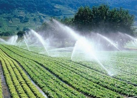 حرکت به سوی خودکفایی بذری در سیستان‌وبلوچستان