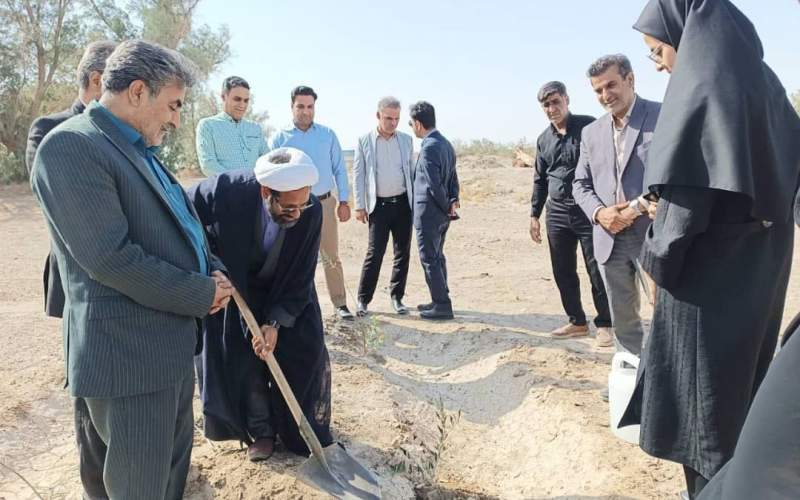 آیین نهالکاری ورزشکاران در هامون