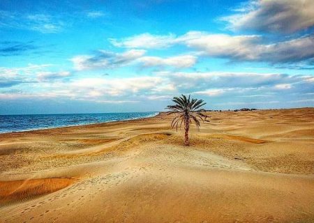 طلایی‌ترین سواحل ایران در گرم‌ترین نقطه کشور