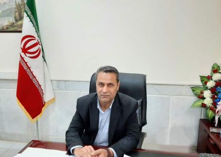 طرح ویژه صمت برای ثبات بازار هامون