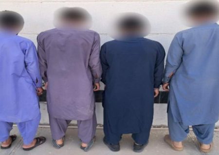 دستگیری باند سارقان احشام در زهک