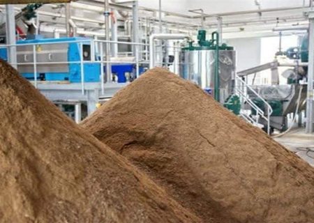 تولید 838 هزار کیلوگرم پودر ماهی در دشتیاری