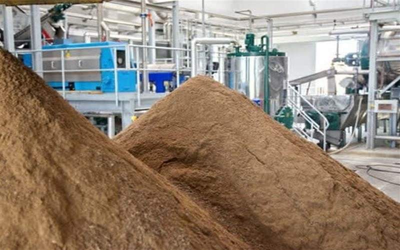 تولید 838 هزار کیلوگرم پودر ماهی در دشتیاری