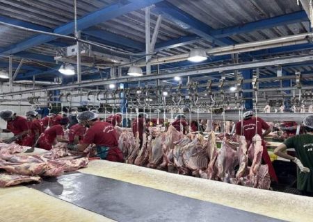 ترخیص فرآورده دامی از مرز میرجاوه سیستان‌وبلوچستان