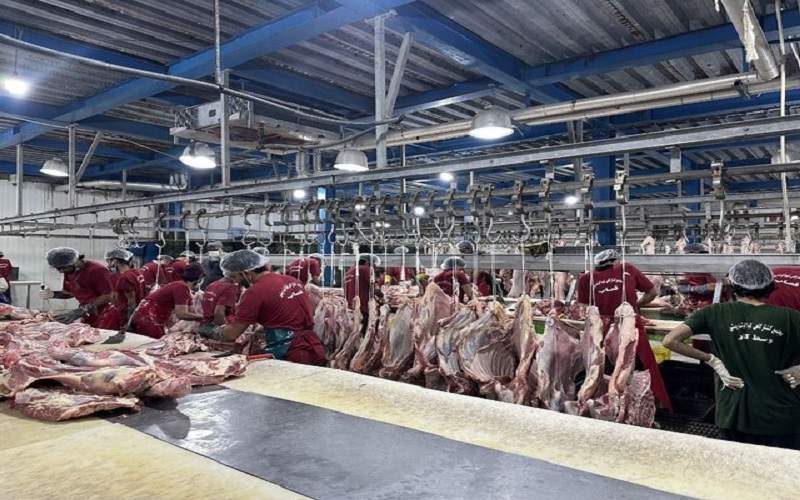 ترخیص فرآورده دامی از مرز میرجاوه سیستان‌وبلوچستان