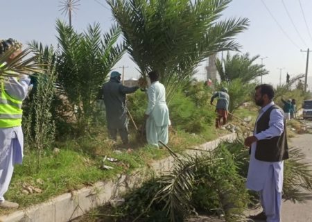 کاشت نهال خرما در معابر سطح شهر خاش