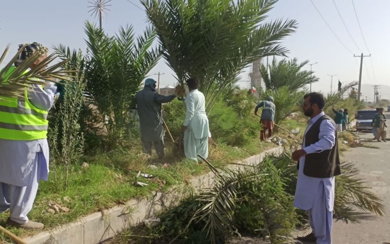 کاشت نهال خرما در معابر سطح شهر خاش