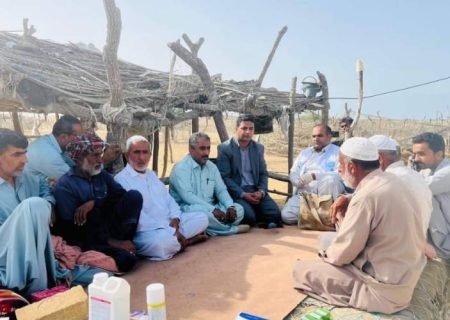 ایمنی پایدار دام‌ها با گسترش اقدامات دامپزشکی