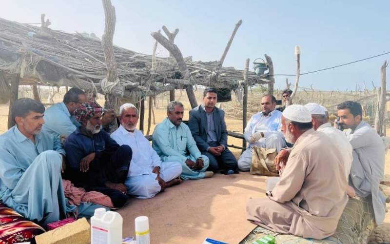 ایمنی پایدار دام‌ها با گسترش اقدامات دامپزشکی