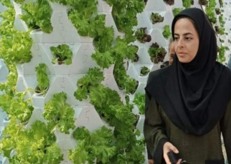 صدور مجوز فعالیت در طرح کولبری