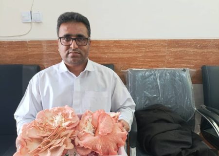 نخستین برداشت قارچ صدفی در کیشکور