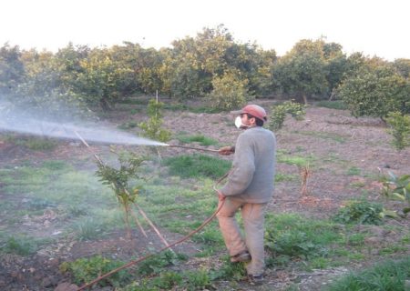 اجرای طرح پایش سموم و آلاینده‌های محصولات کشاورزی