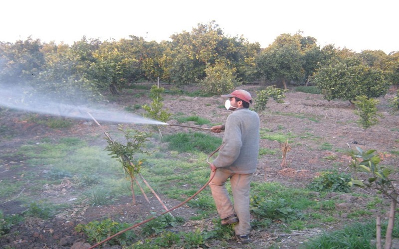 اجرای طرح پایش سموم و آلایندههای محصولات کشاورزی