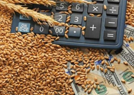 ثبت رکورد ملی واردات گندم در چابهار