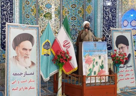 صیانت از جامعه با عفت و بصیرت