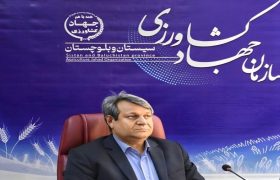 ورود نخستین محموله گوشت و برنج وارداتی