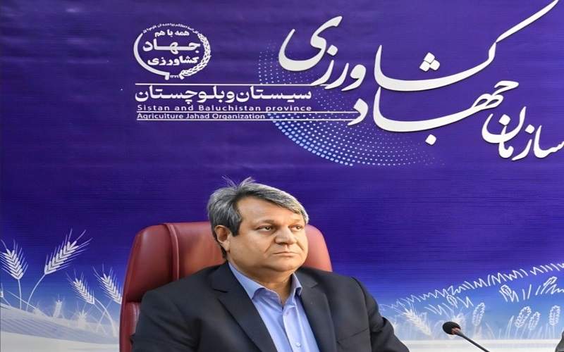 ورود نخستین محموله گوشت و برنج وارداتی