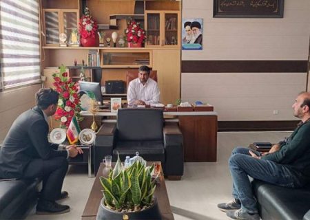 آغاز ساخت نیروگاه خورشیدی ۱۰ مگاواتی در خاش