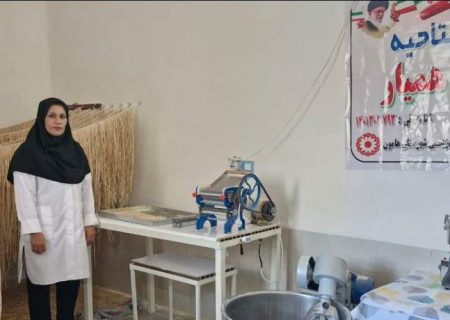 تولیدات بومی فرصتی برای اشتغال آفرینی