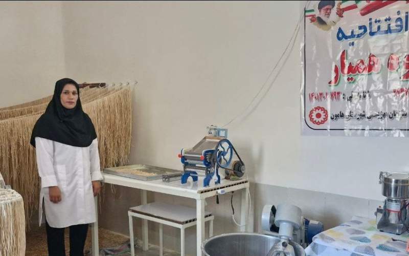 تولیدات بومی فرصتی برای اشتغال آفرینی