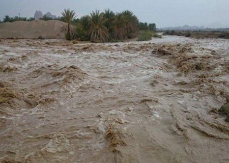 بارش‌ها فرصتی طلایی برای احیای منابع طبیعی