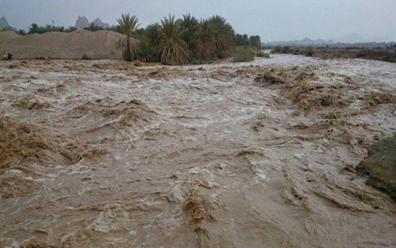 بارشها فرصتی طلایی برای احیای منابع طبیعی