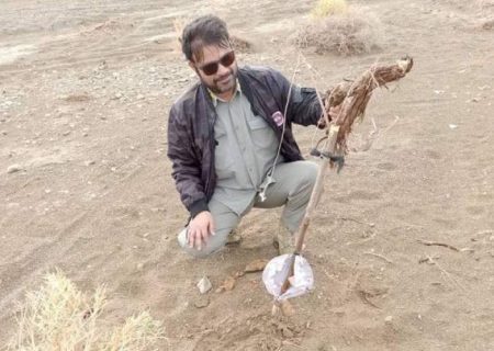 عملیات ویژه محیط زیست برای صیانت از پرندگان