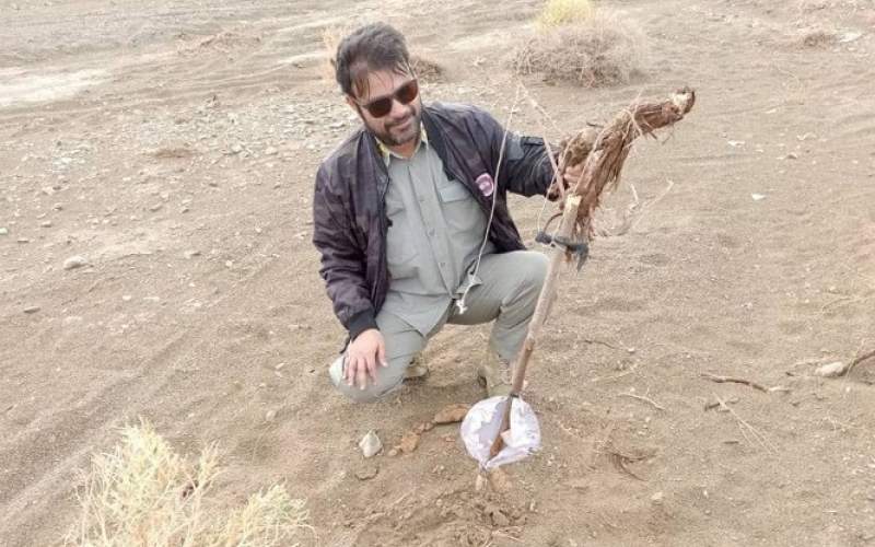 عملیات ویژه محیط زیست برای صیانت از پرندگان