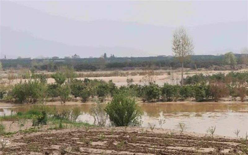 خسارت ۴۷۵ میلیاردی سیلاب به کشاورزی بلوچستان