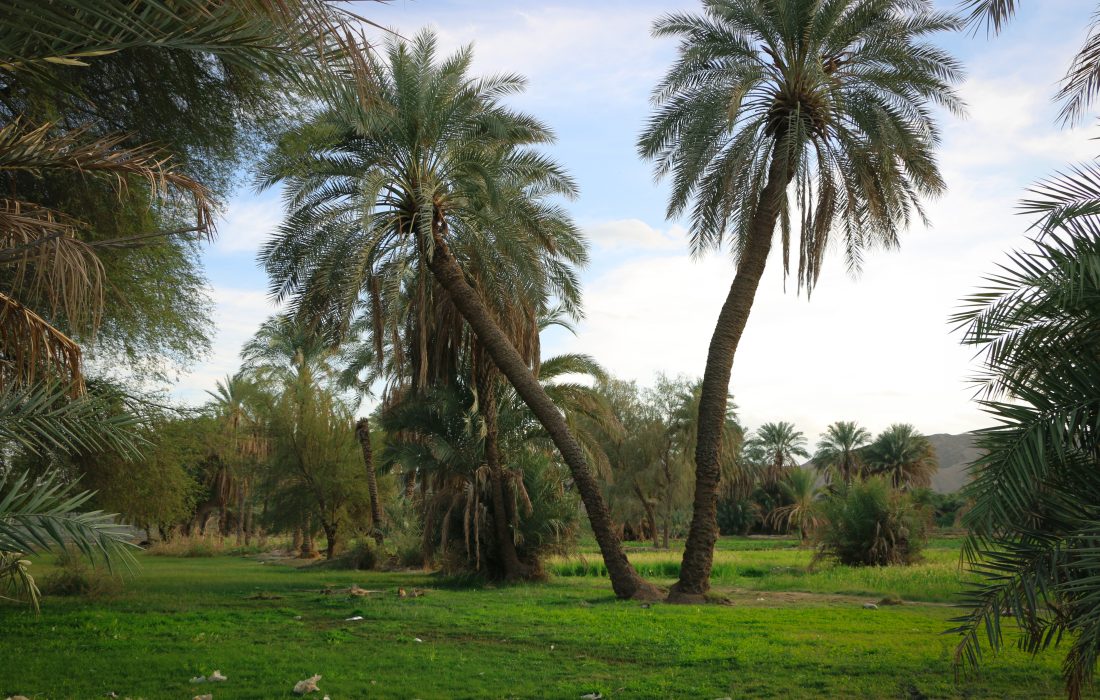 جلوه ای از زیبایی های راسک