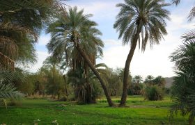 جلوه ای از زیبایی های راسک