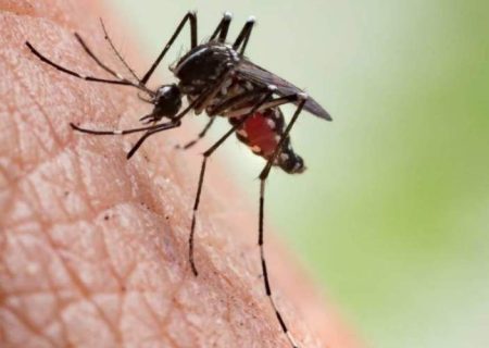 کاهش روند ابتلا به مالاریا در شهرستان سراوان