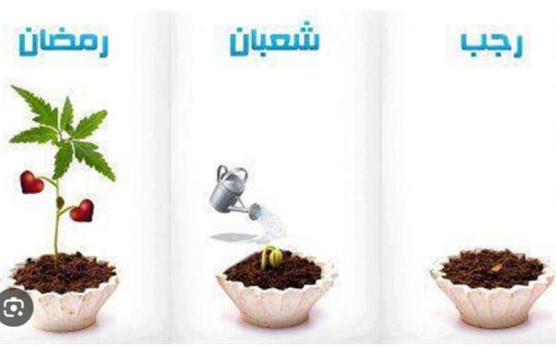 غفلت از فرصتها، محرومیت از برکات الهی