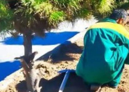 اغاز توسعه فضای سبز خاش با رویکرد مردمی