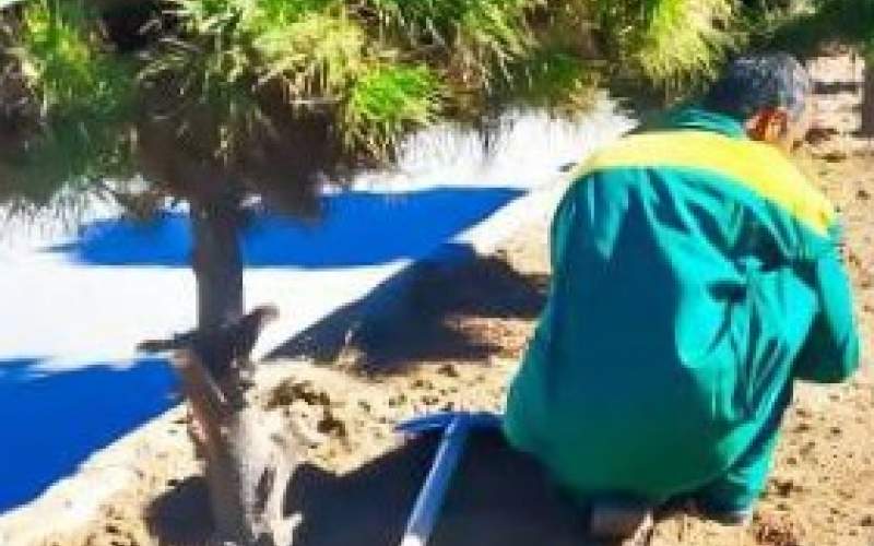 اغاز توسعه فضای سبز خاش با رویکرد مردمی