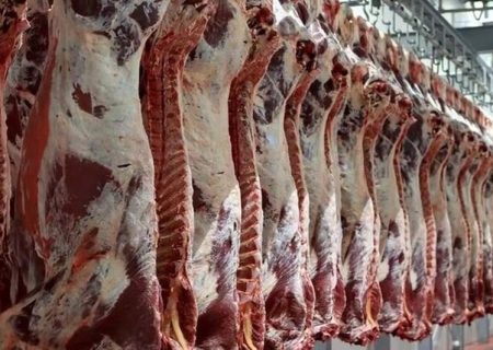 واردات ۹ هزار تن گوشت از مرزهای سیستانوبلوچستان