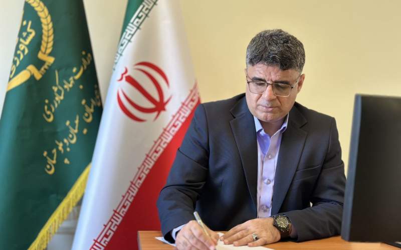 خاش، پیشتاز توسعه کشت گلخانه‌ای در جنوب شرق