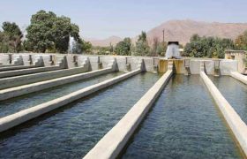 توسعه فعالیت‌های شیلاتی در سیستان‌وبلوچستان